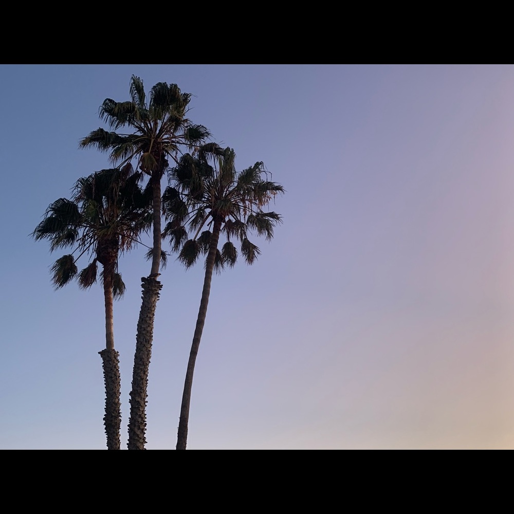 Meet your Posher, Jourdan